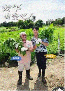 幕后整理方法占位图